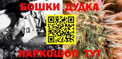 спиды Новодвинск